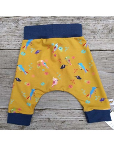 Broek vogels Broek vogels