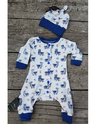 Box pakje lama blauw
