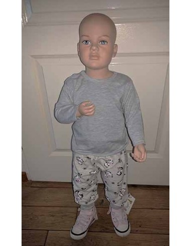 Harem broek koe